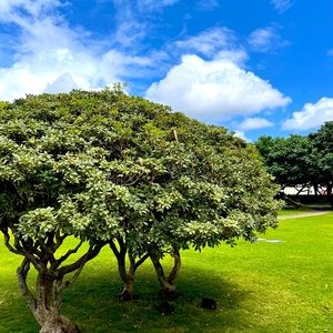 Meet your Posher, Anita